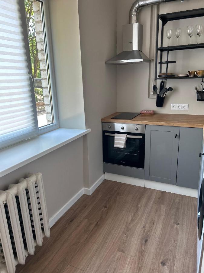 Skandi Appartments In Saldus City Center Екстер'єр фото