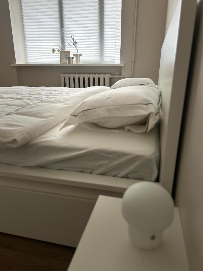 Skandi Appartments In Saldus City Center Екстер'єр фото