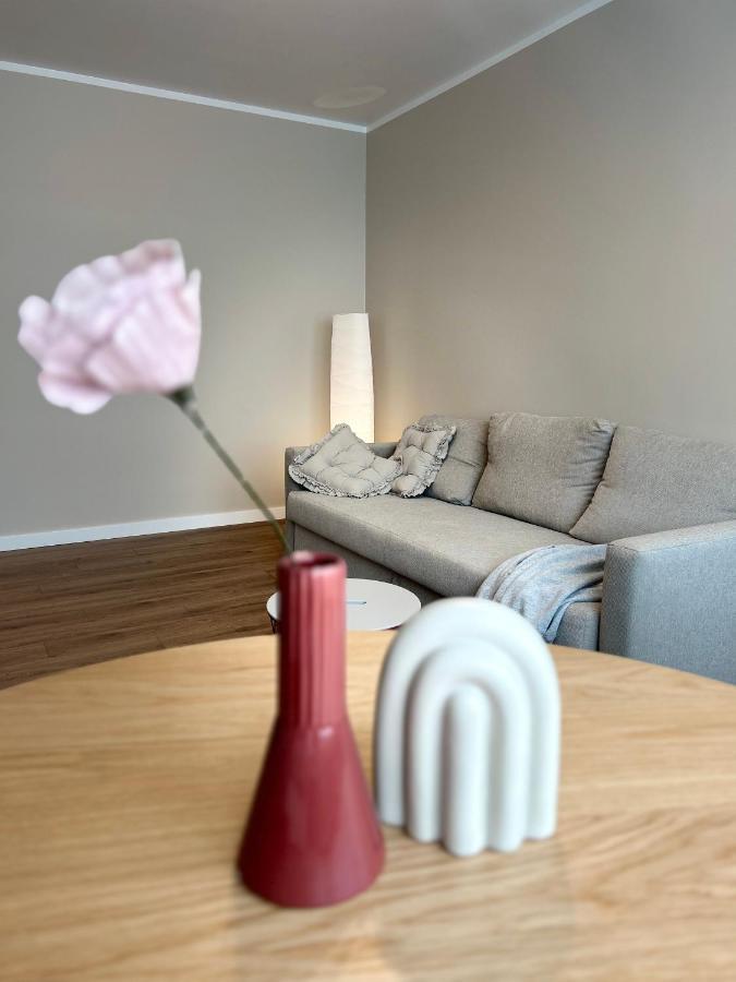 Skandi Appartments In Saldus City Center Екстер'єр фото