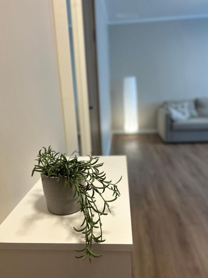 Skandi Appartments In Saldus City Center Екстер'єр фото