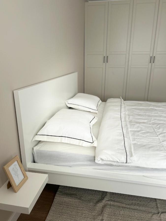 Skandi Appartments In Saldus City Center Екстер'єр фото