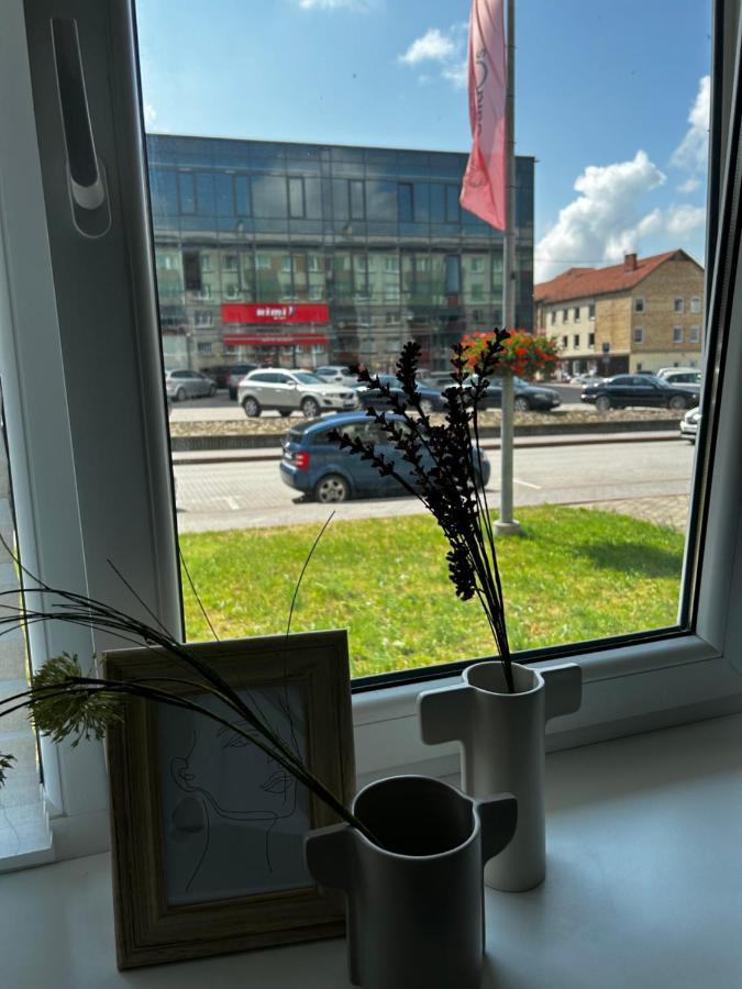 Skandi Appartments In Saldus City Center Екстер'єр фото