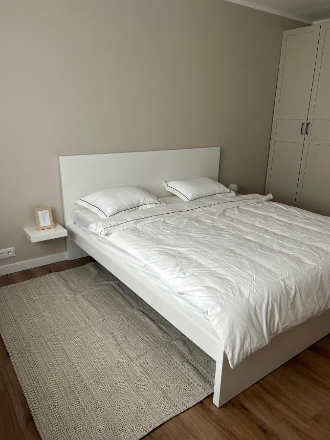 Skandi Appartments In Saldus City Center Екстер'єр фото